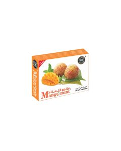 101 MANGO MINT 72GM 12PCS
