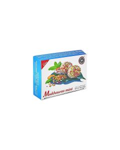 101 MUKHAWAS MINT 12PCS
