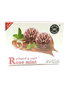 101 BANARASI ROSE MINT 12 PCS