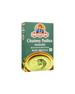 MDH PUDINA CTNY MSLA 100G